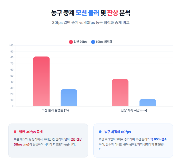 농구 중계 모션 블러 및 잔상 분석 농구 중계 모션 블러 및 잔상 분석